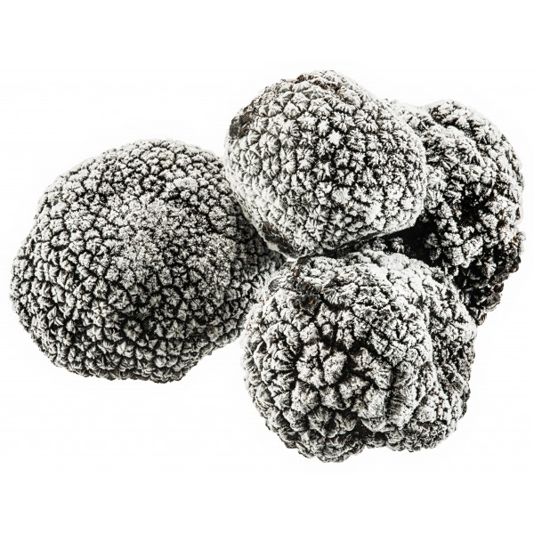 frozen black truffle