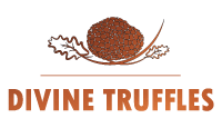 Divine Truffles